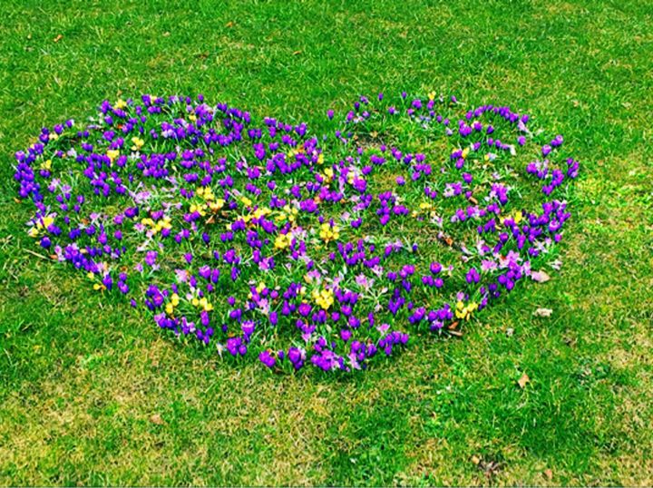 #frühling ist, wenn die Seele wieder bunt denkt …