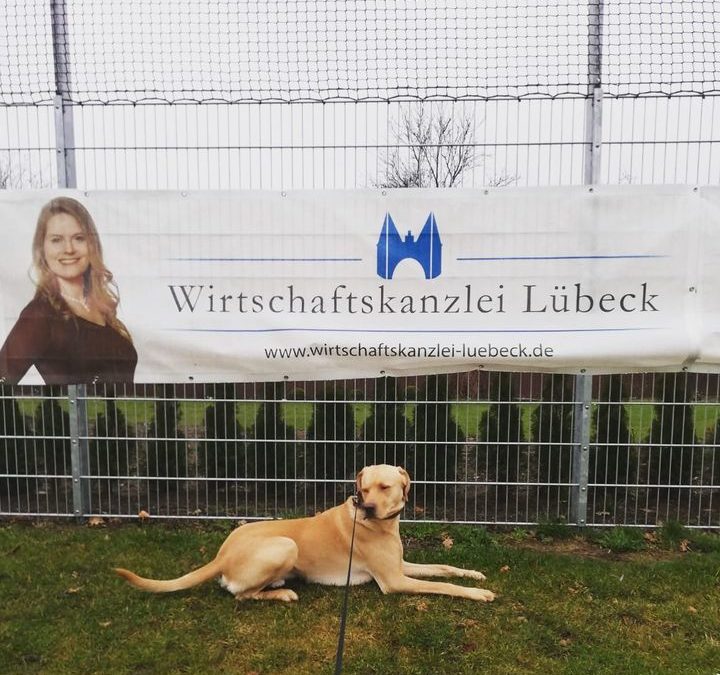 Danke für die Zusendung ❤️ …